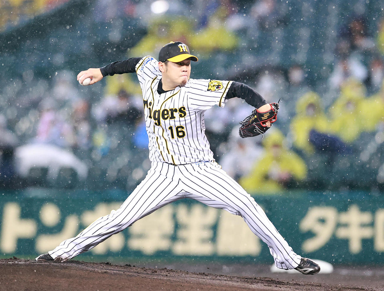 阪神対巨人　力投する阪神先発の西勇（撮影・浅見桂子）