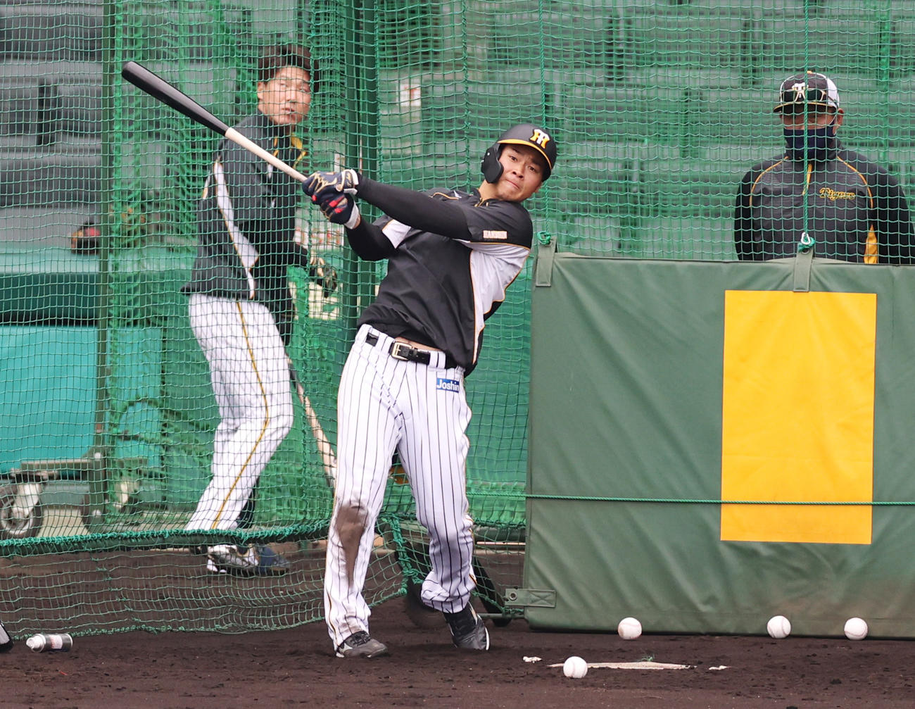 阪神対巨人　フリー打撃を行う佐藤輝明（撮影・清水貴仁）