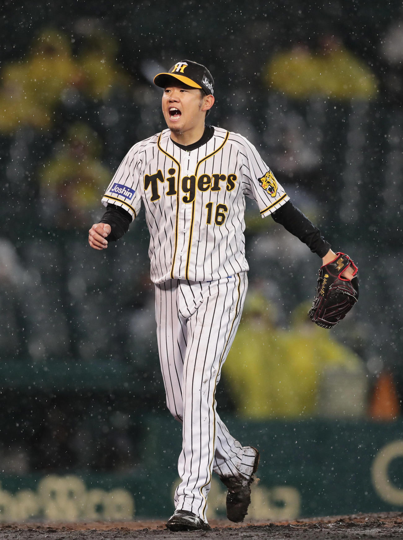 阪神対巨人　4回表巨人2死一、二塁、亀井を見逃し三振に仕留め、雄たけびをあげる西勇輝（撮影・前田充）
