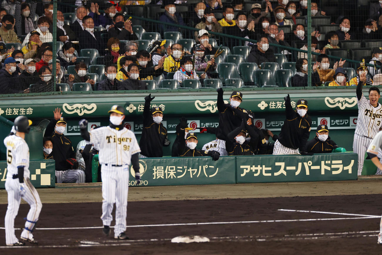 阪神対巨人　4回裏阪神2死二、三塁、二塁への適時内野安打を放った近本をたたえる阪神ナイン（撮影・清水貴仁