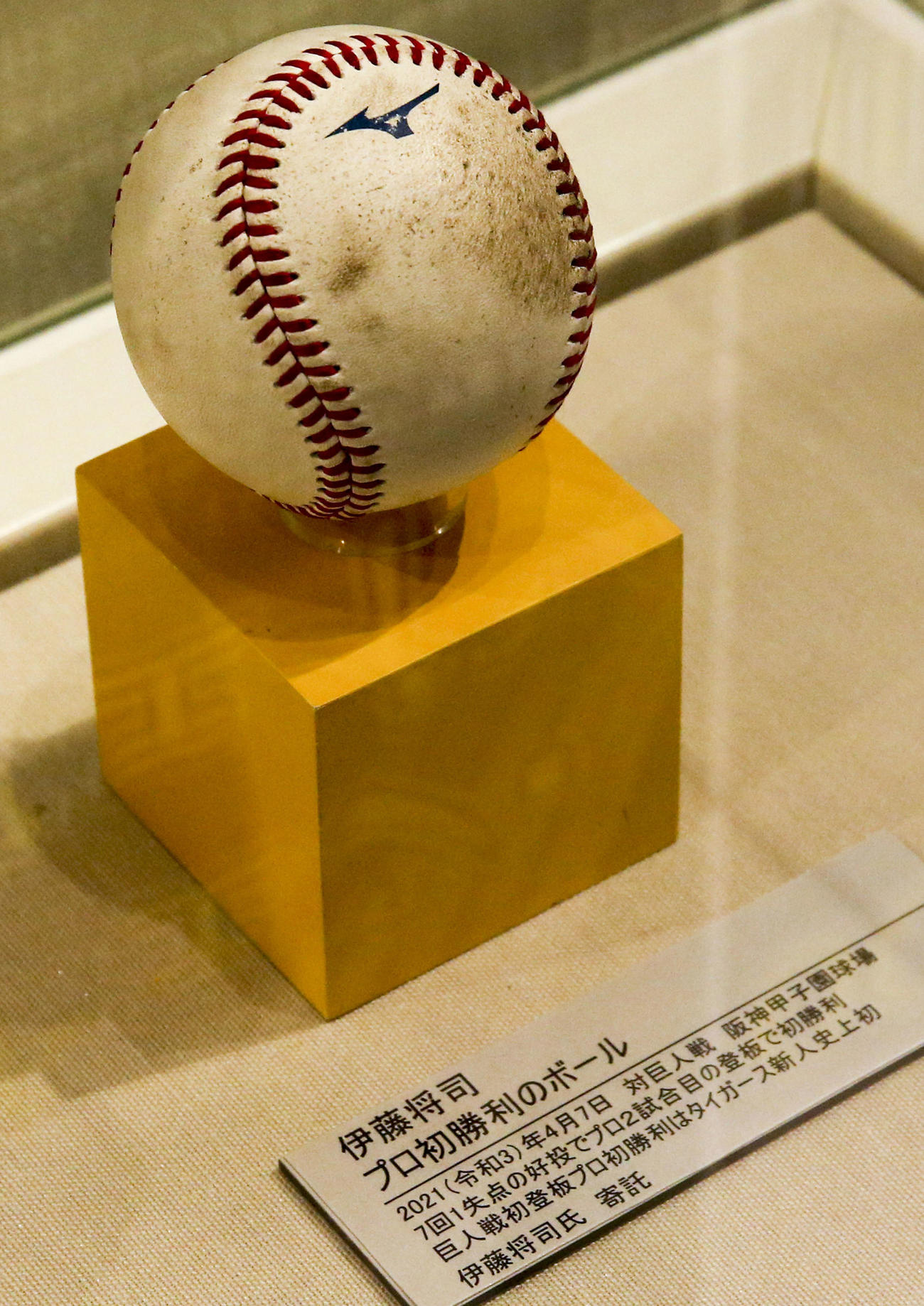 甲子園歴史館に展示される伊藤将司のプロ初勝利のボール（撮影・上山淳一）