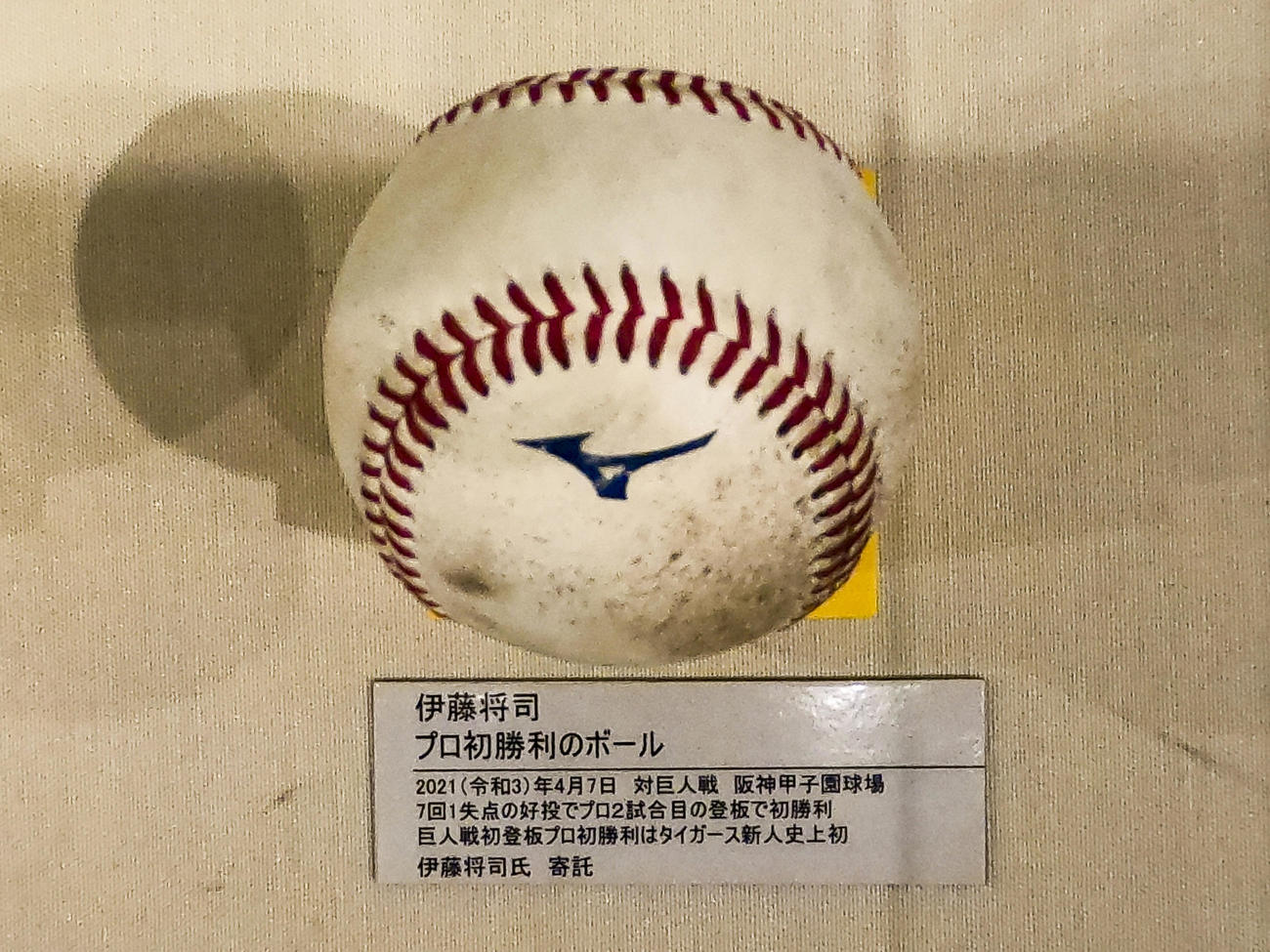 甲子園歴史館に展示される伊藤将司のプロ初勝利のボール（撮影・上山淳一）