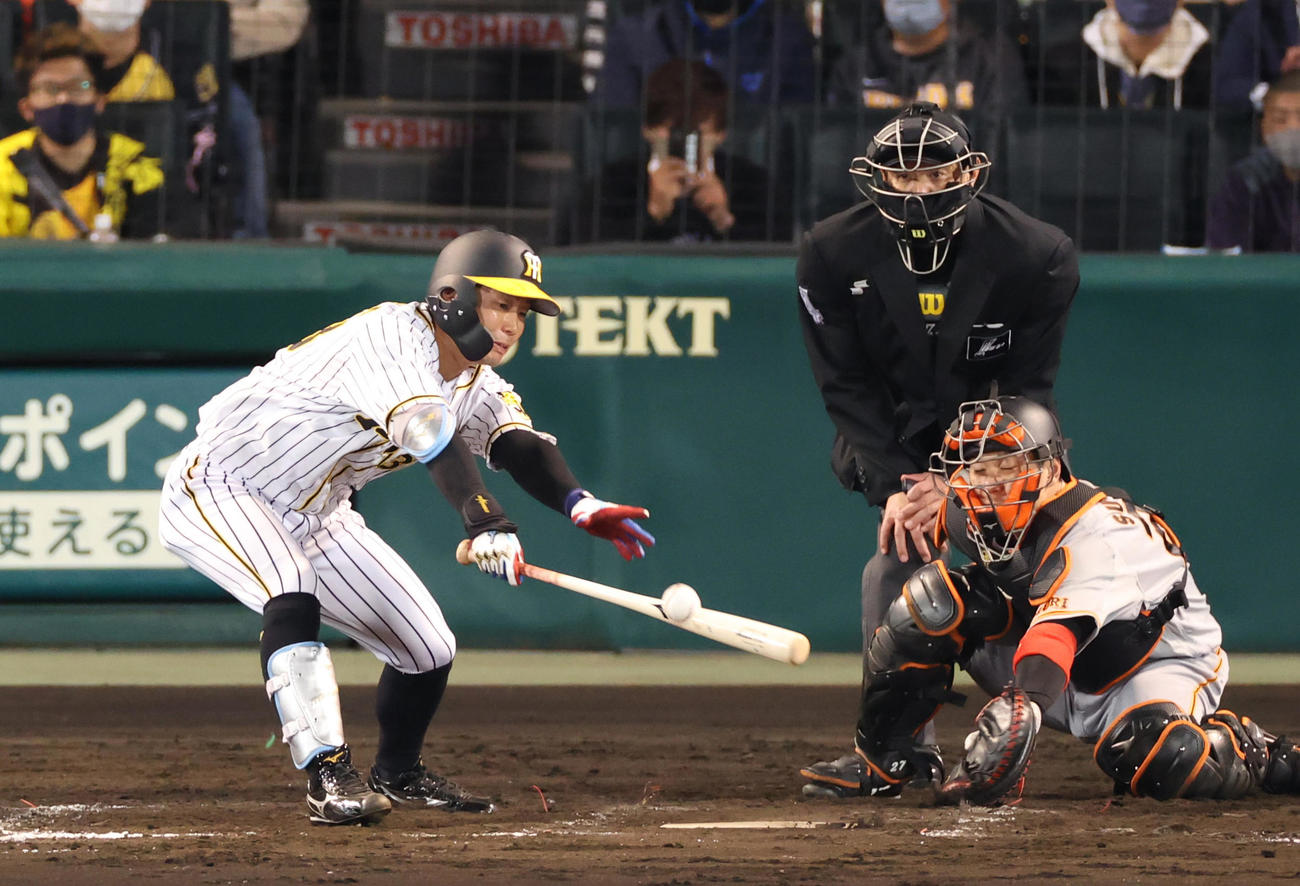 阪神対巨人　8回裏阪神2死一、三塁、二ゴロに倒れる糸原健斗（撮影・清水貴仁）