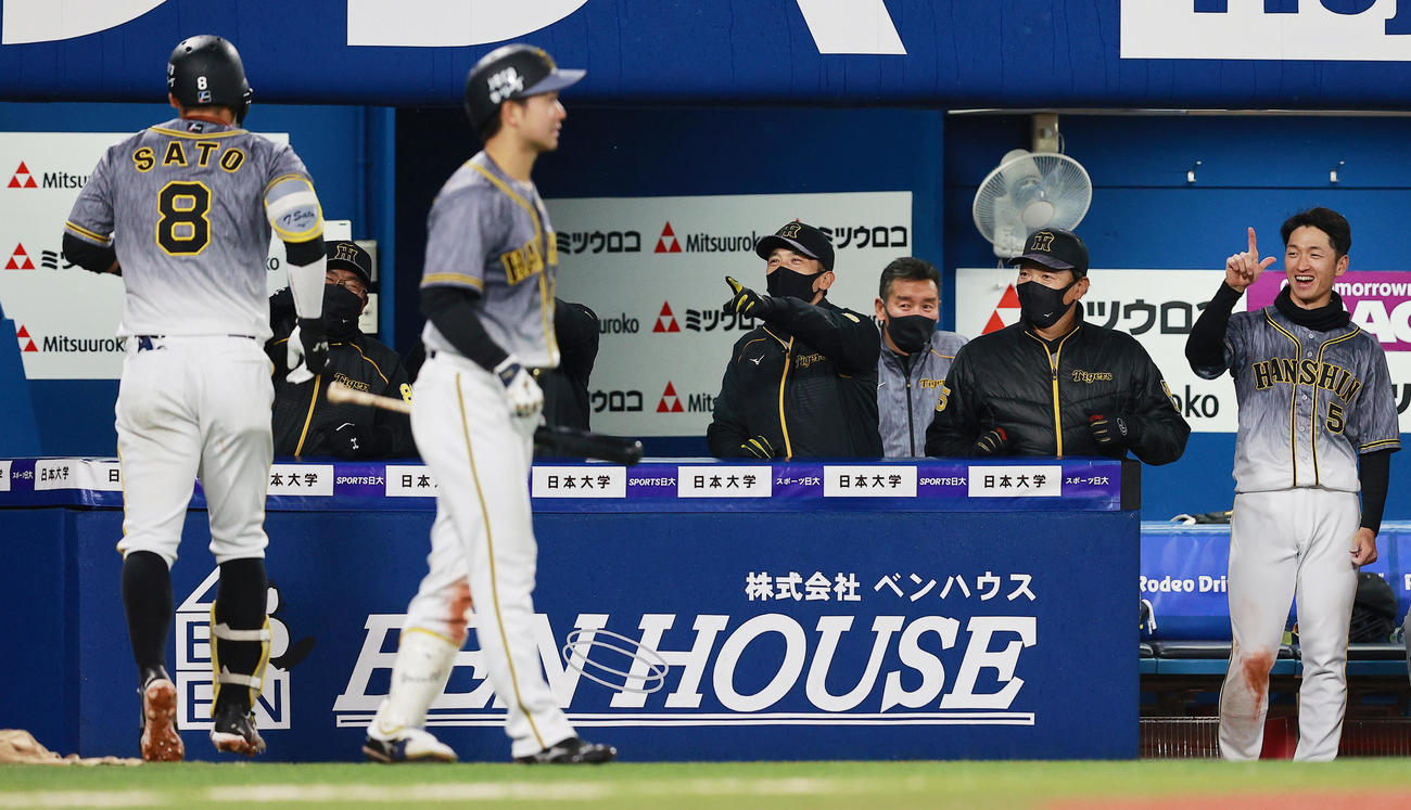 DeNA対阪神　6回表阪神無死、右越え本塁打を放った佐藤輝を迎える矢野監督（奥中央）ら阪神ベンチ（撮影・野上伸悟）