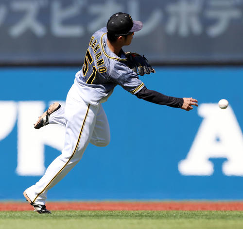 DeNA対阪神　1回裏DeNA無死、プロ初先発の中野は関根の打球を一塁へ送球する（撮影・加藤哉）