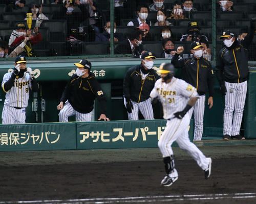 阪神対広島　5回裏阪神無死一塁、矢野監督（右から2人目）は左越え2点本塁打を放ったマルテ（手前）を見ながらガッツポーズする（撮影・上山淳一）