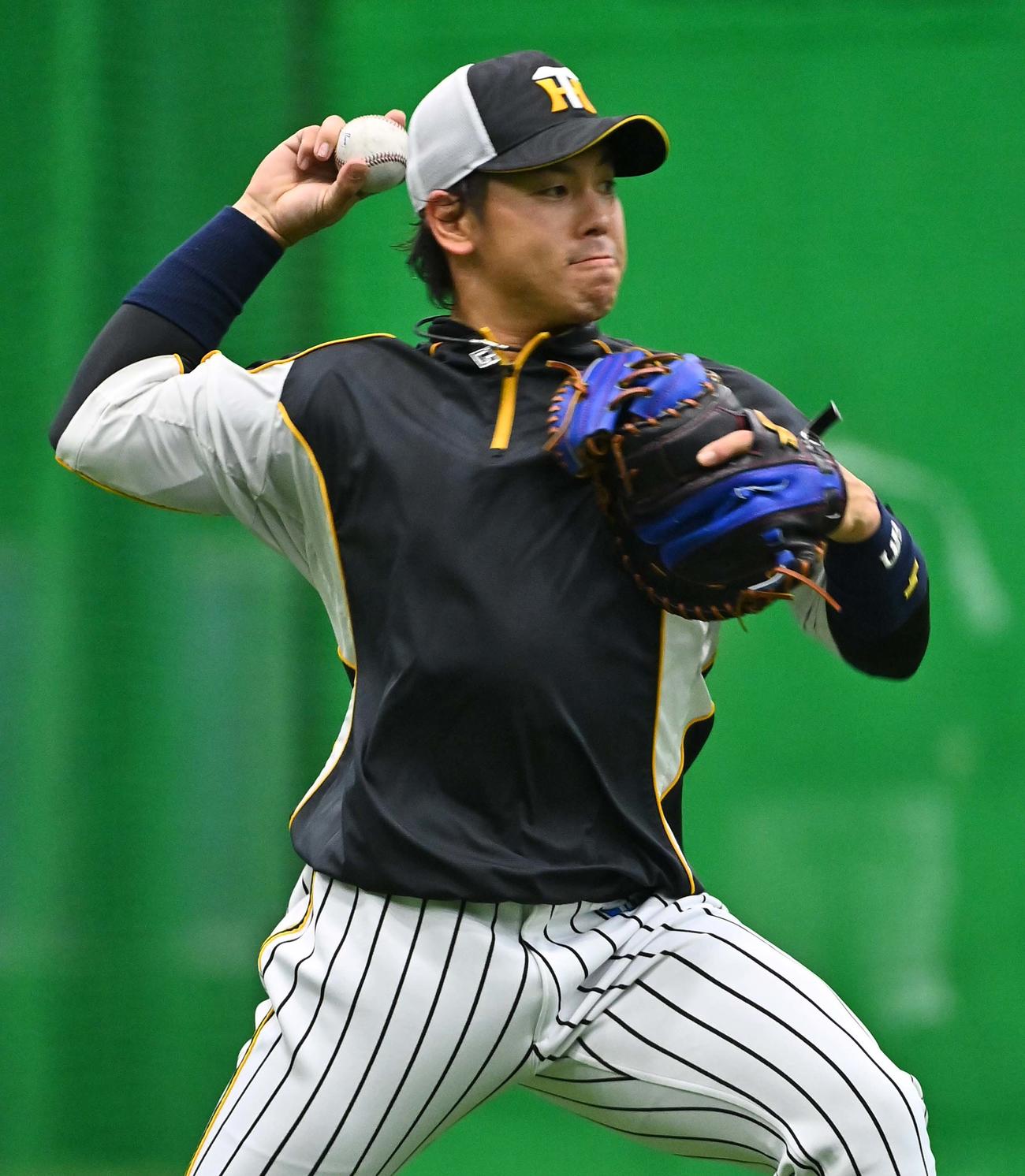 室内練習場でノックを受ける梅野（撮影・上田博志）