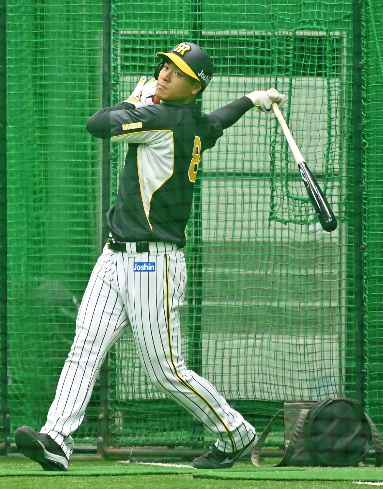 フリー打撃練習で汗を流す佐藤輝（撮影・上田博志）