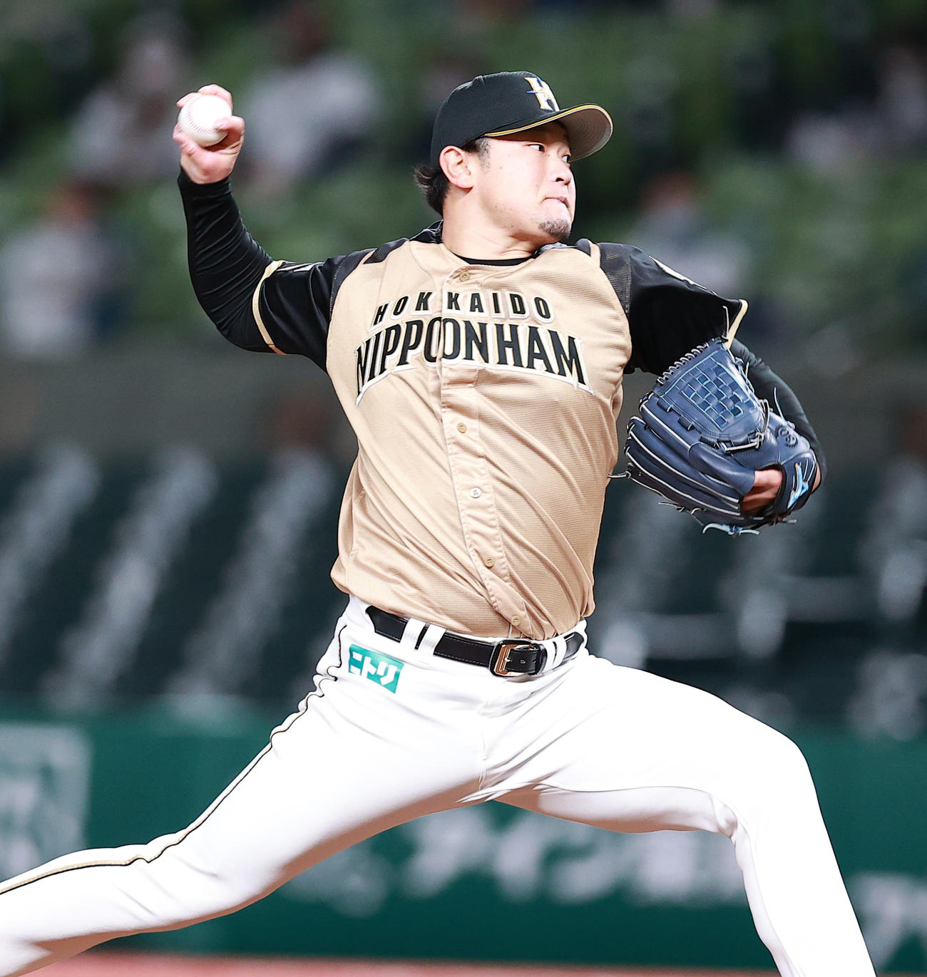 西武対日本ハム　力投する日本ハム先発の池田（撮影・浅見桂子）