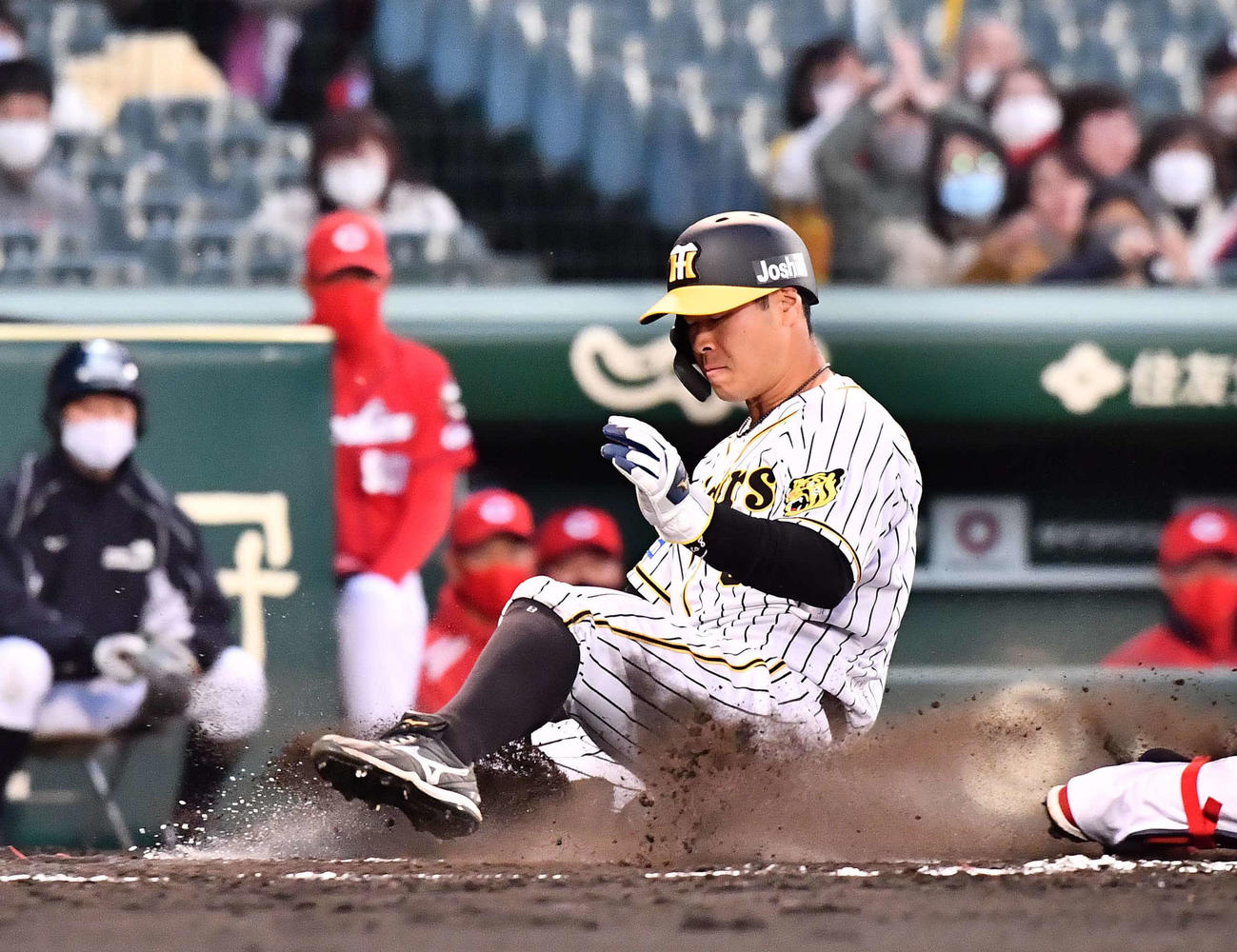 阪神対広島　2回裏阪神2死一、二塁、中野拓夢の右前先制適時打で生還する佐藤輝（撮影・上田博志）