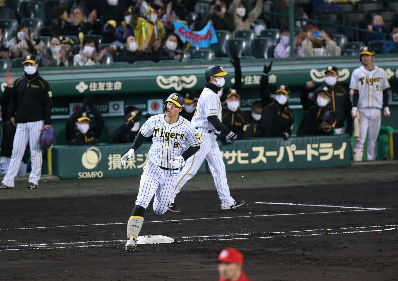 阪神対広島　4回裏阪神無死一塁、佐藤輝は右越え2点本塁打を放ち一塁を回る（撮影・上山淳一）