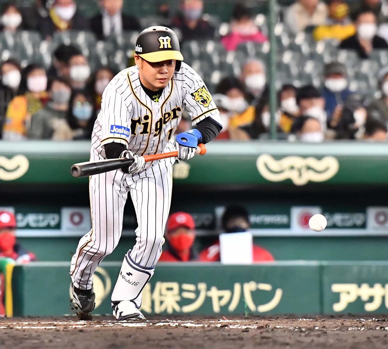 阪神対広島　6回裏阪神1死一塁、送りバントを決める西勇（撮影・上田博志）
