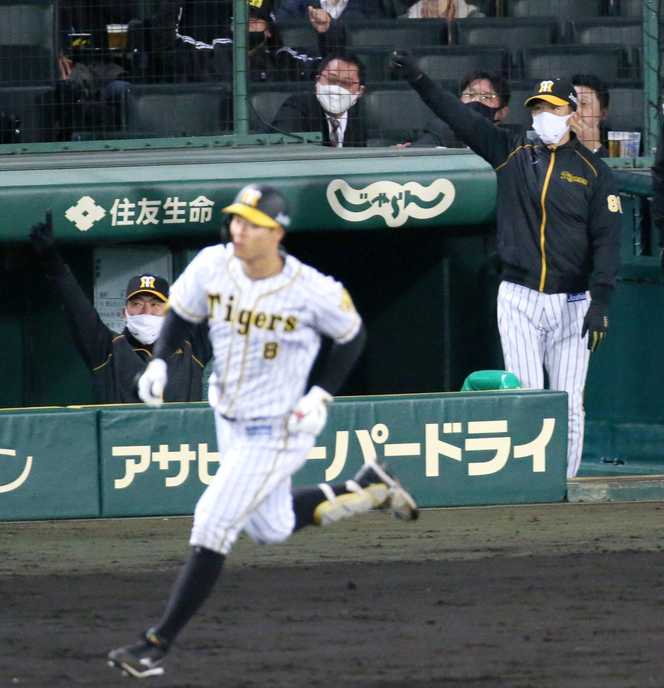 阪神対広島　4回裏阪神無死一塁、阪神矢野監督（右）は佐藤輝明の右越え2点本塁打に手を挙げ喜ぶ（撮影・上山淳一）