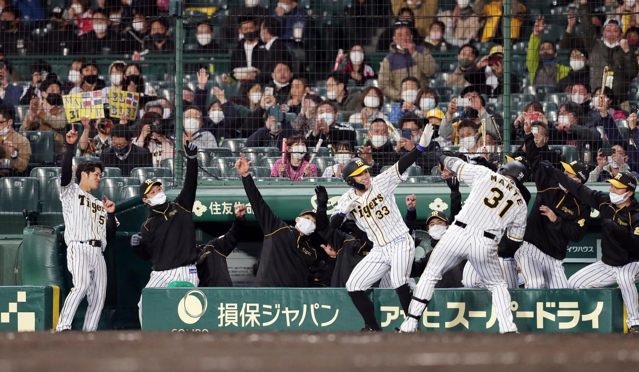 阪神対広島　5回裏阪神無死一塁、左越え2点本塁打を放ち「ラパンパラ」ポーズを決めるジェフリー・マルテと阪神ナイン（撮影・前田充）