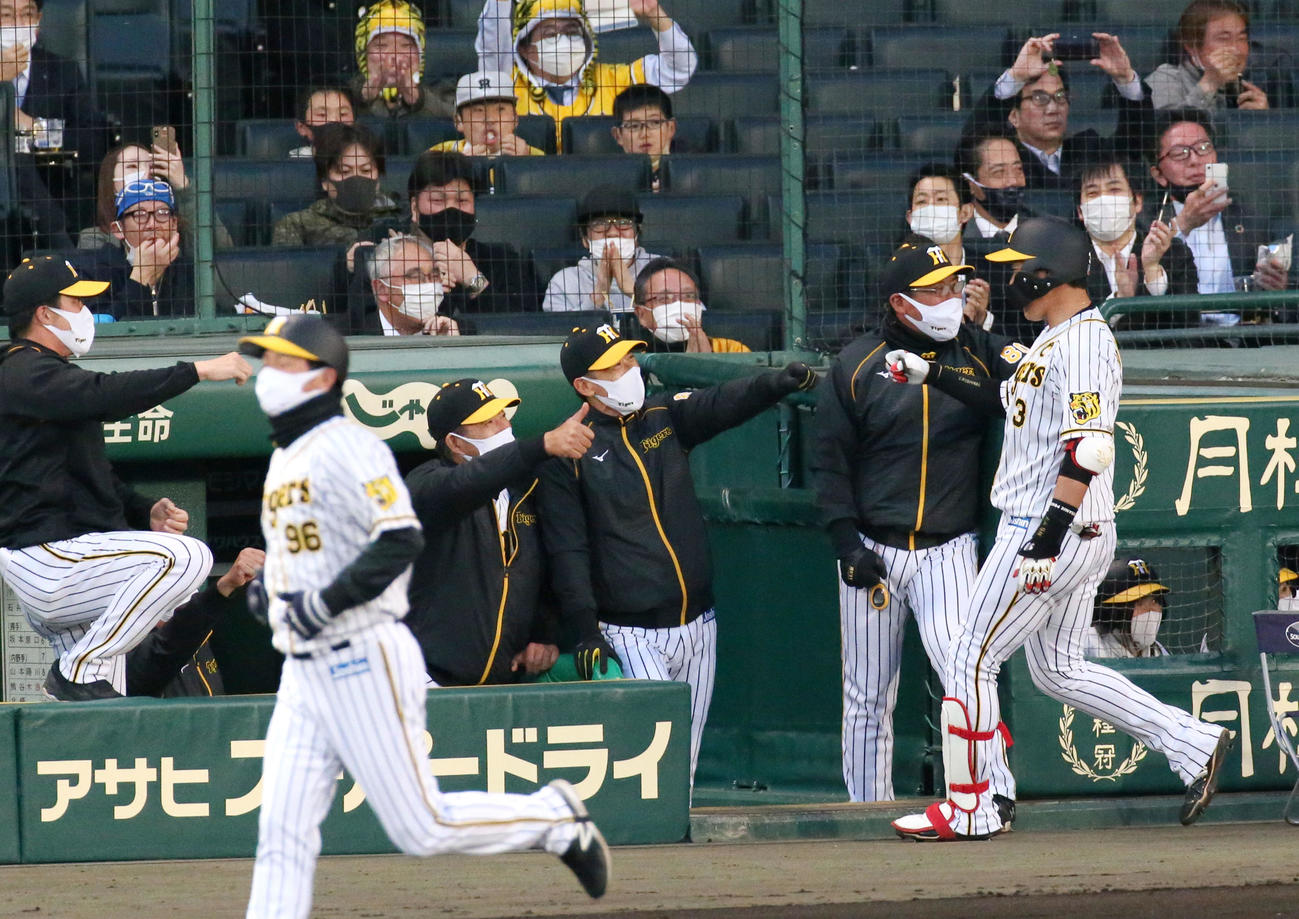阪神対広島　1回裏阪神2死一塁、矢野監督（右から3人目）は左越え2点本塁打を放った大山（右）を出迎える（撮影・上山淳一）