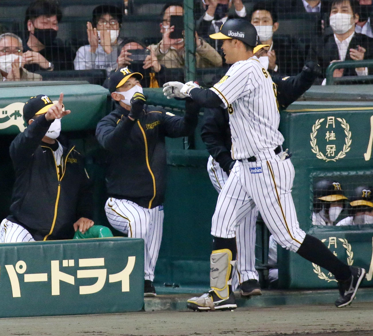 阪神対広島　4回裏阪神無死一塁、矢野監督（左から2人目）は中越え2点本塁打を放った佐藤輝（右）を迎える（撮影・上山淳一）