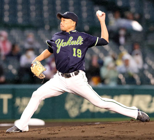 阪神対ヤクルト　ヤクルト先発の石川（撮影・加藤哉）