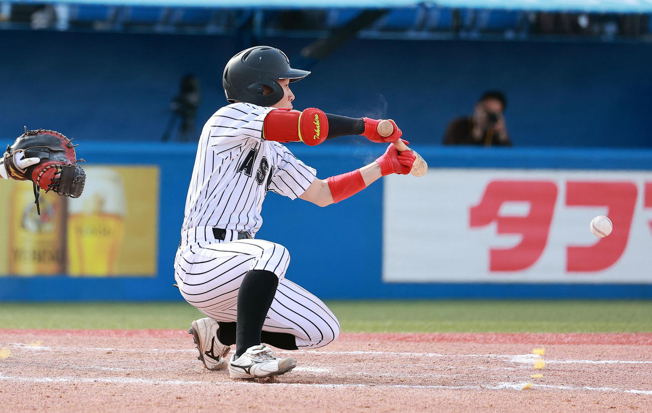 駒大対亜大　10回裏亜大1死満塁、代打後藤はサヨナラスクイズを決める（撮影・浅見桂子）