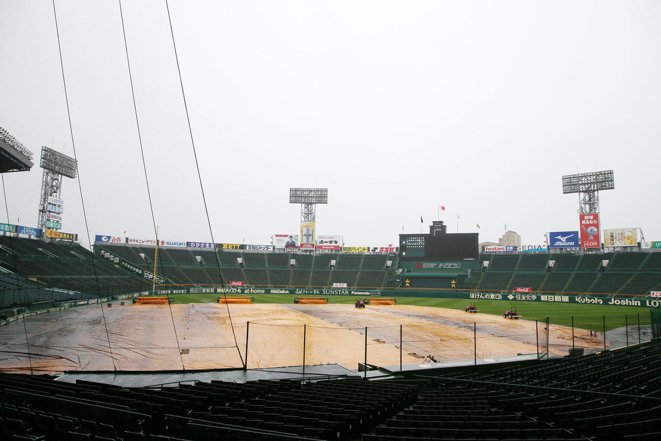 阪神対ヤクルト　朝から雨の甲子園球場（撮影・加藤哉）