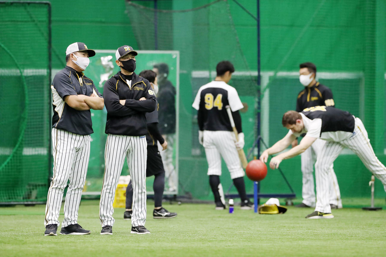 阪神対ヤクルト　ナインの練習を見ながら井上ヘッドコーチ（左）と話し込む矢野監督（撮影・加藤哉）