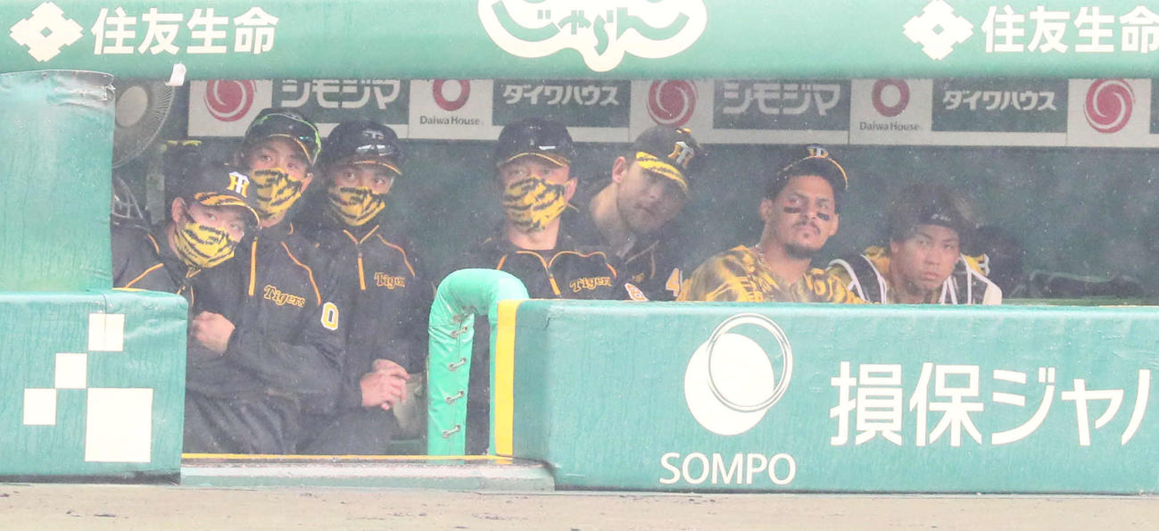 阪神対ヤクルト　3回表ヤクルト2死一塁、雨で中断となりVTRをベンチから見つめるガンケル（中央）ら（撮影・宮崎幸一）