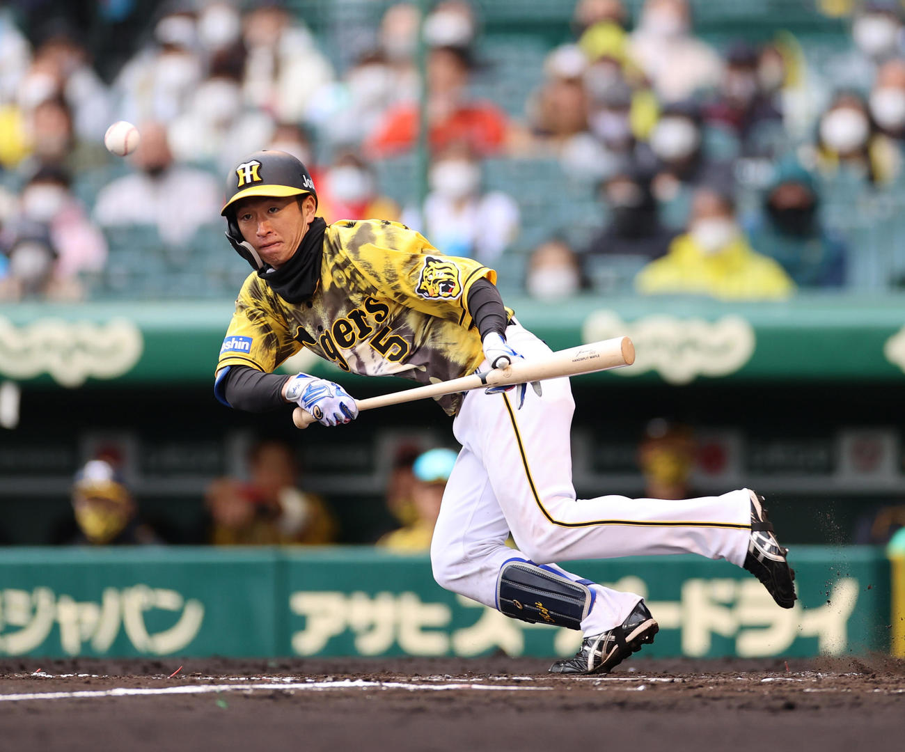 阪神対ヤクルト　3回裏阪神無死一塁、三塁線へセーフティーバントを決め内野安打とする近本（撮影・清水貴仁）