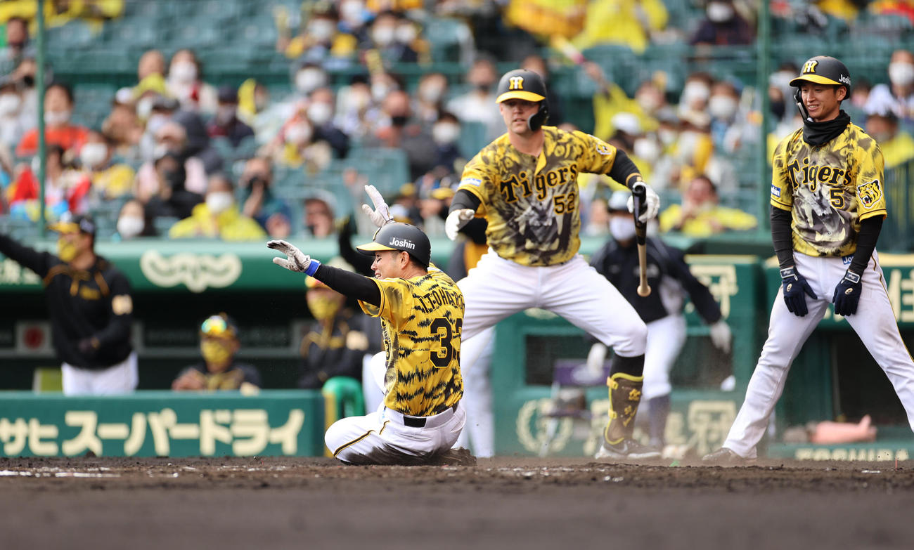 阪神対ヤクルト　3回裏阪神無死満塁、大山の2点適時打で近本（右）に続き二塁糸原も生還する（撮影・清水貴仁）