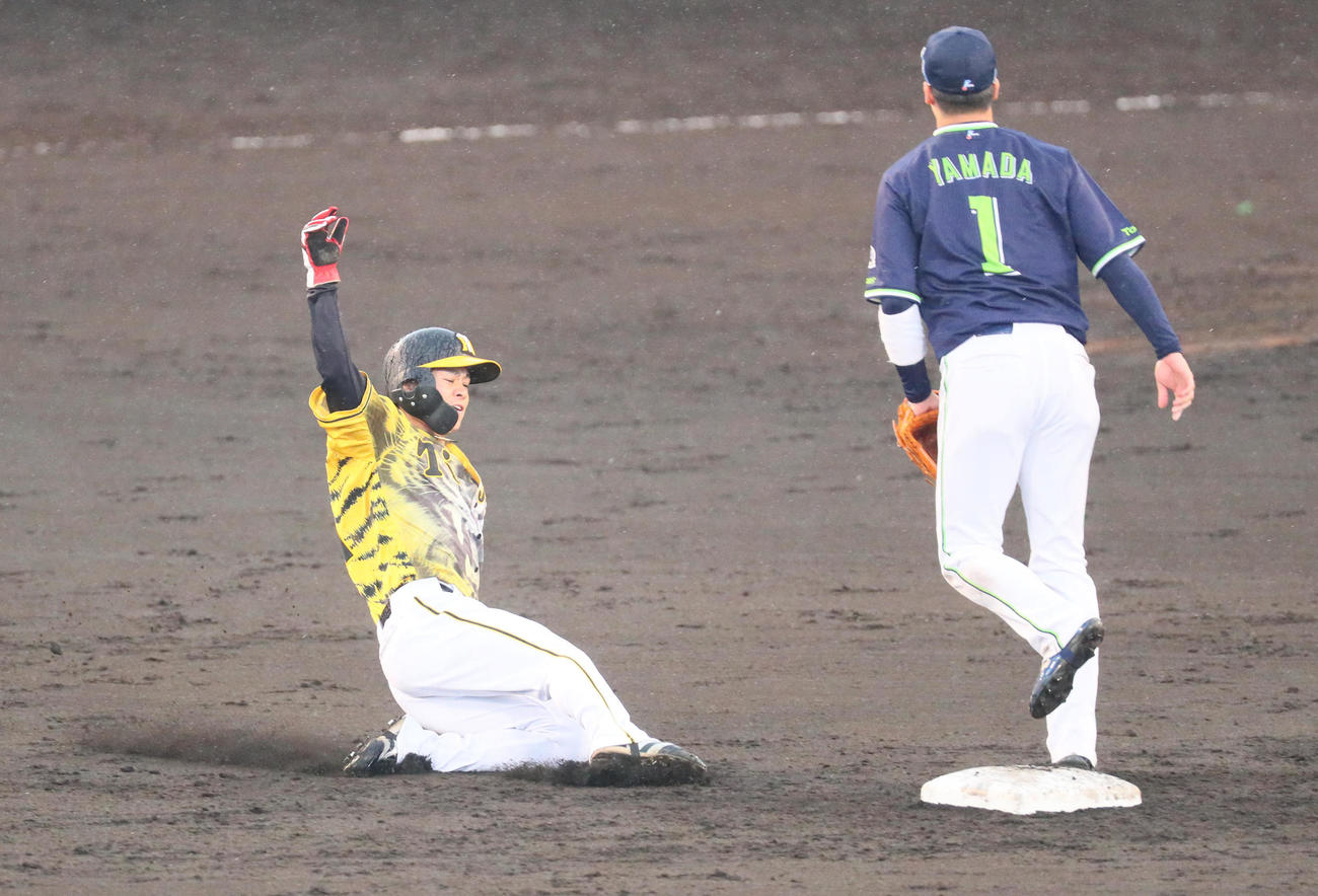 阪神対ヤクルト　7回裏阪神2死一塁、中野は二盗を決める（撮影・宮崎幸一）