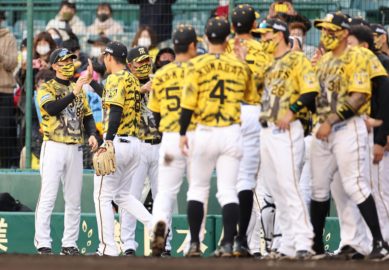 阪神対ヤクルト　ヤクルトに勝利し選手を出迎える矢野監督（2021年4月18日撮影）