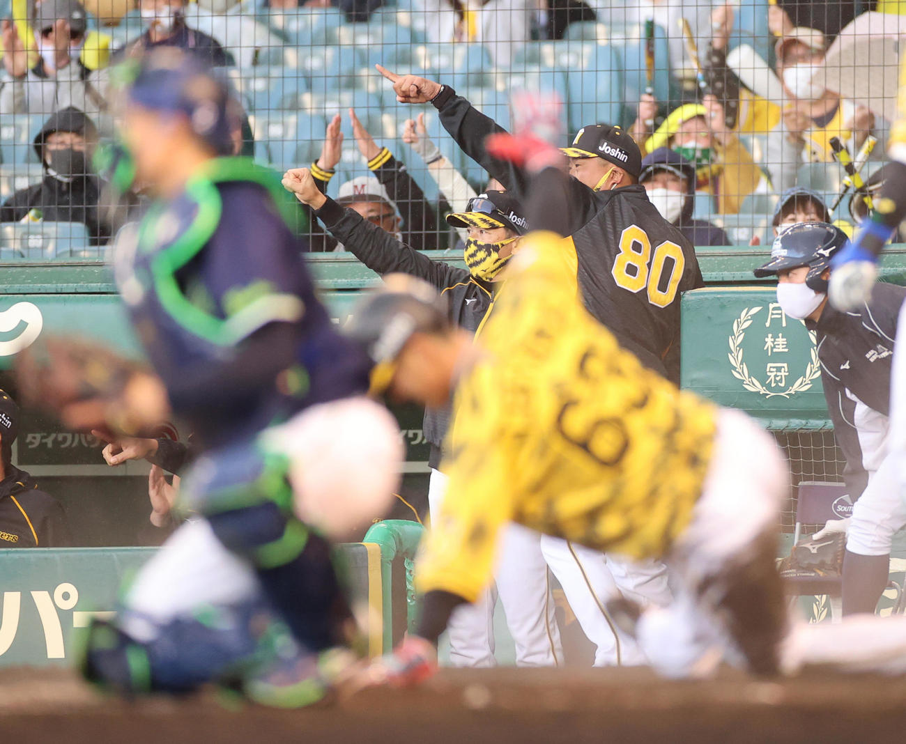 阪神対ヤクルト　7回裏阪神2死二、三塁、中野の2点適時打で追加点をあげガッツポーズをみせる矢野監督（中央左）（2021年4月18日撮影）