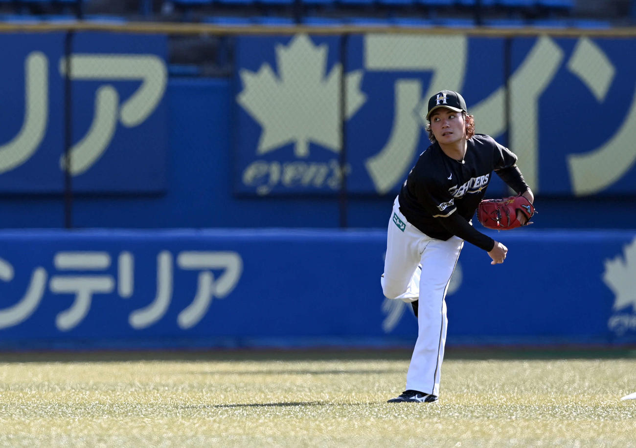 ロッテ対日本ハム　外野でキャッチボールする日本ハムの伊藤（撮影・たえ見朱実）