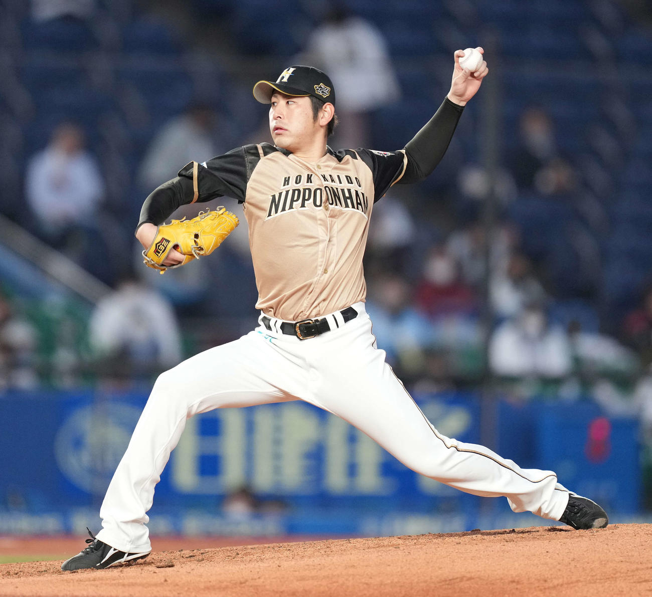 先発し力投する日本ハム加藤（撮影・鈴木みどり）