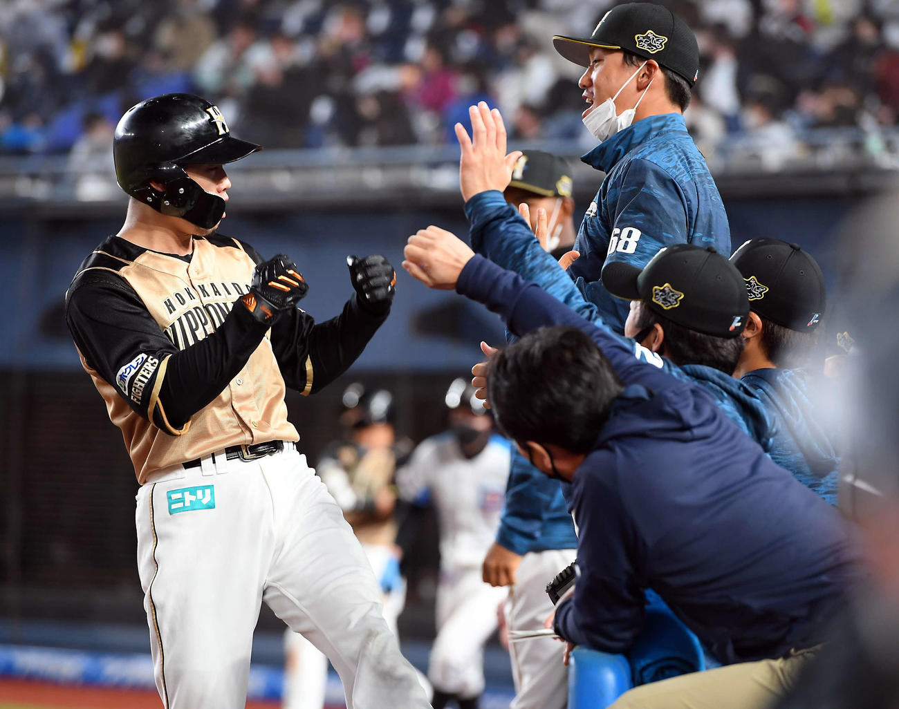 ロッテ対日本ハム　5回表日本ハム1死、右越えに1号ソロ本塁打を放った西川は、ナインの祝福にポーズを決める（撮影・たえ見朱実）