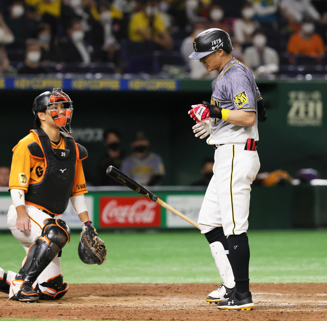 巨人対阪神　7回表阪神2死、代打糸井（右）は死球を受ける（撮影・足立雅史）