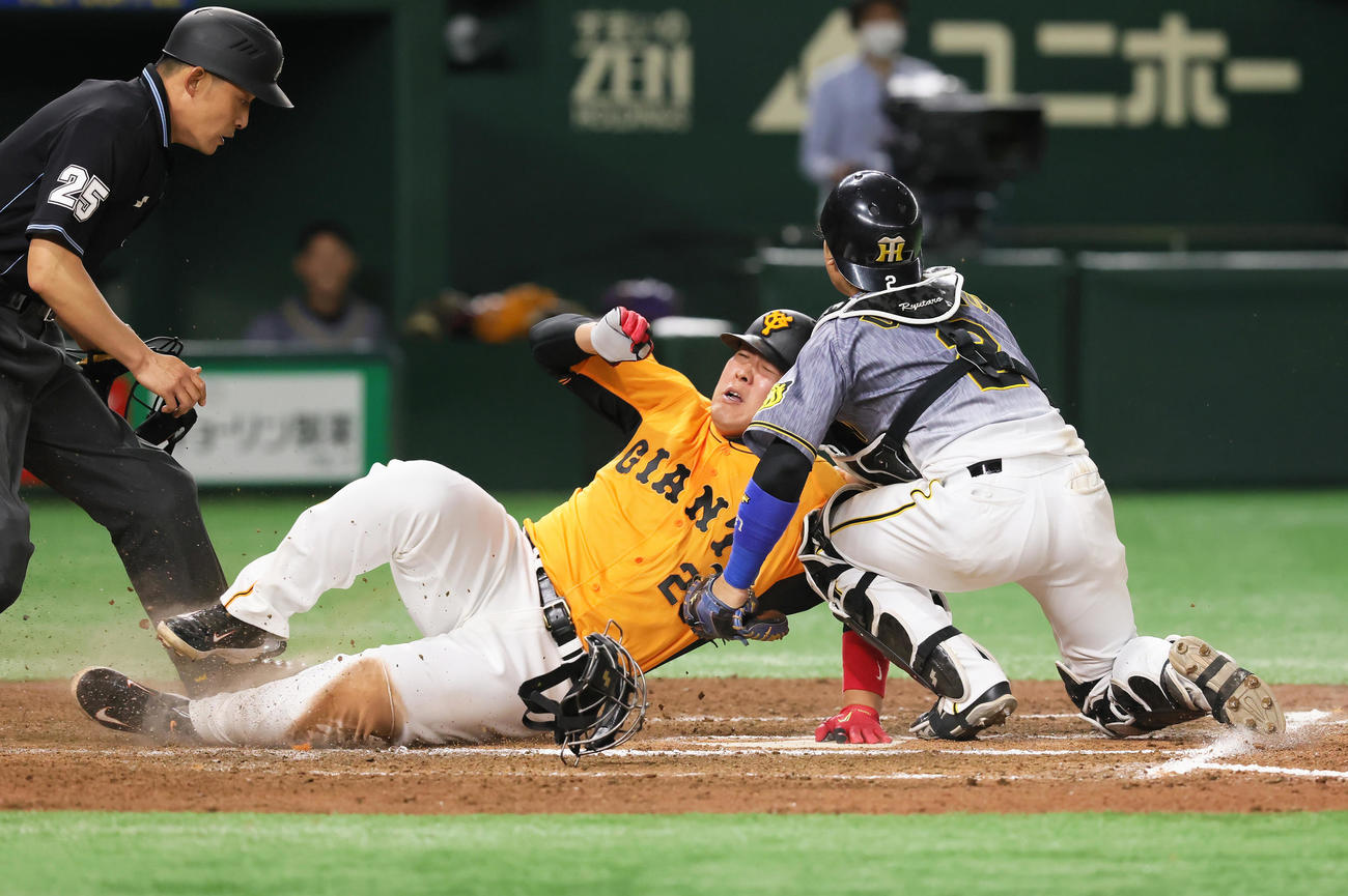 巨人対阪神　6回裏巨人1死一、三塁、大城の投ゴロで本塁を狙うもタッチアウトとなる三塁走者岡本和（左）。捕手梅野（撮影・足立雅史）