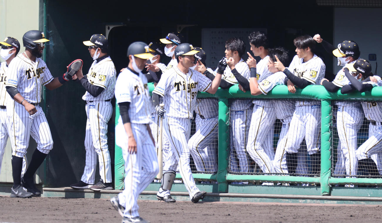 2軍ソフトバンク戦で阪神小野寺は左越え2点本塁打を放ちナインとエアタッチをかわす（代表撮影）