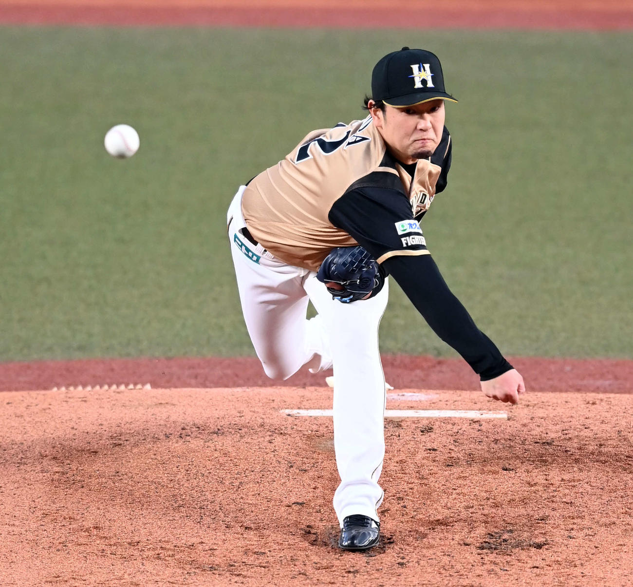 ロッテ対日本ハム　日本ハムの先発池田（撮影・たえ見朱実）