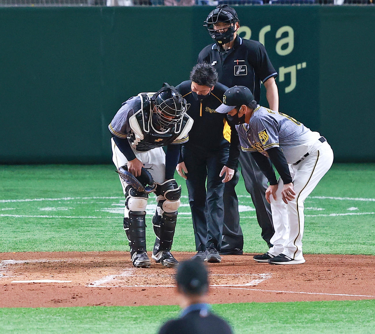 22日巨人戦の1回、巨人梶谷の打球を当てて痛がる阪神梅野