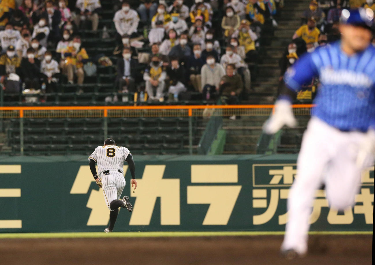 阪神対DeNA 5回表DeNA1死満塁、右翼手佐藤輝（左）は神里の右前打の打球を後逸し、走者一掃の適時失策とする（撮影・上山淳一）