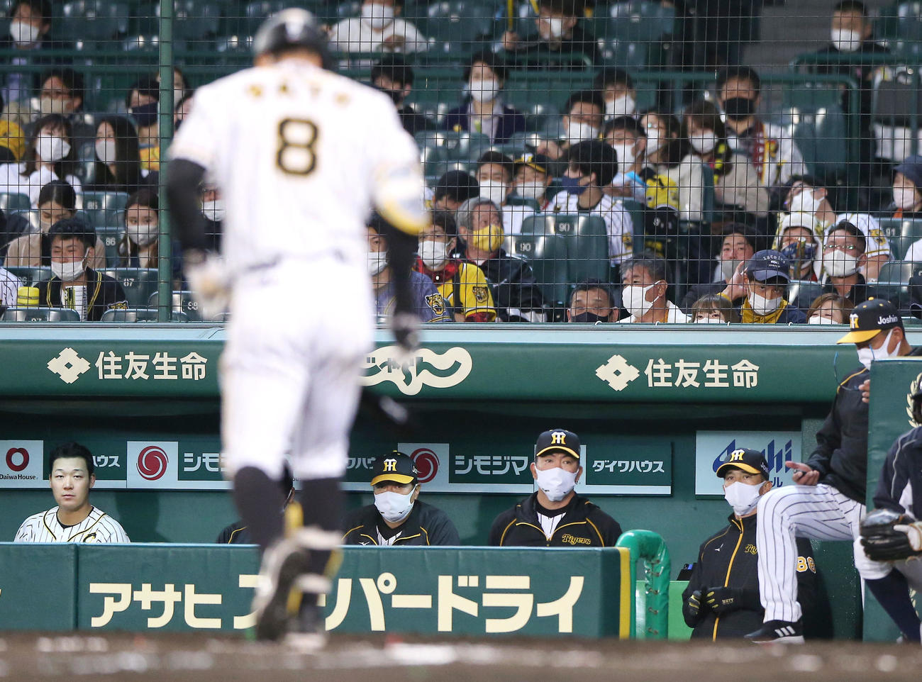 阪神対DeNA 7回裏阪神1死一塁、空振り三振に終わった佐藤輝（手前）を見る矢野監督（右から2人目）ら阪神ベンチ（撮影・上山淳一）