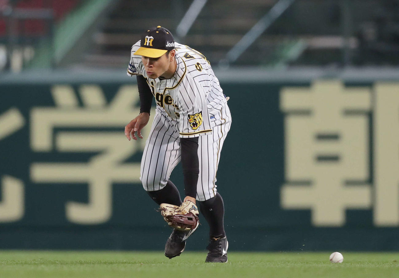 阪神対DeNA 5回表DeNA1死満塁、神里の右前打を後逸する右翼手佐藤輝（撮影・前田充）