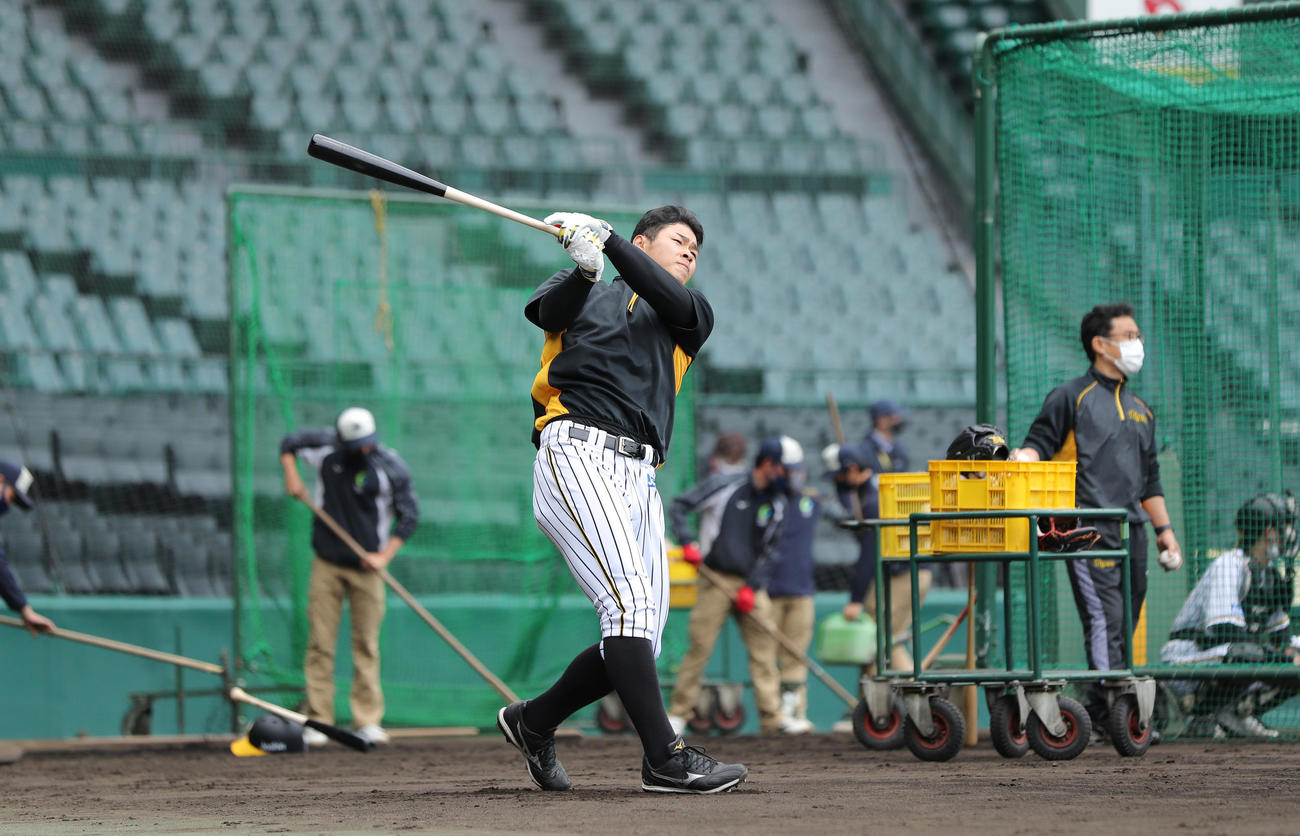 阪神対DeNA　ロングティー打撃を行う阪神佐藤輝（撮影・前田充）