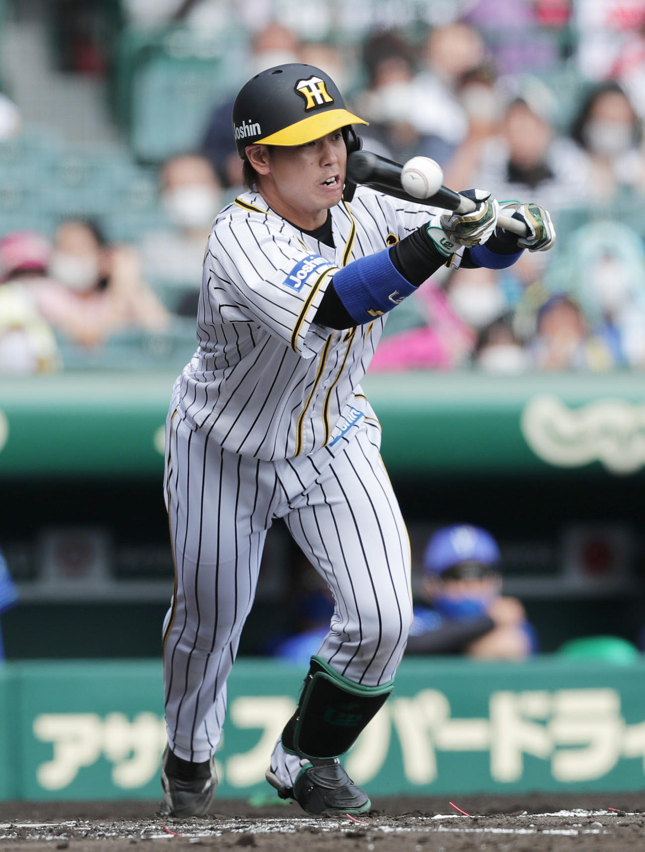 阪神対DeNA 1回裏阪神1死一、三塁、一塁へのセーフティーバントが野選となる梅野（撮影・前田充）