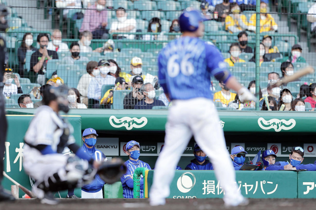 阪神対DeNA 9回表の攻撃をベンチから厳しい表情で見つめるDeNA三浦監督（後方左から2人目）（撮影・前田充）