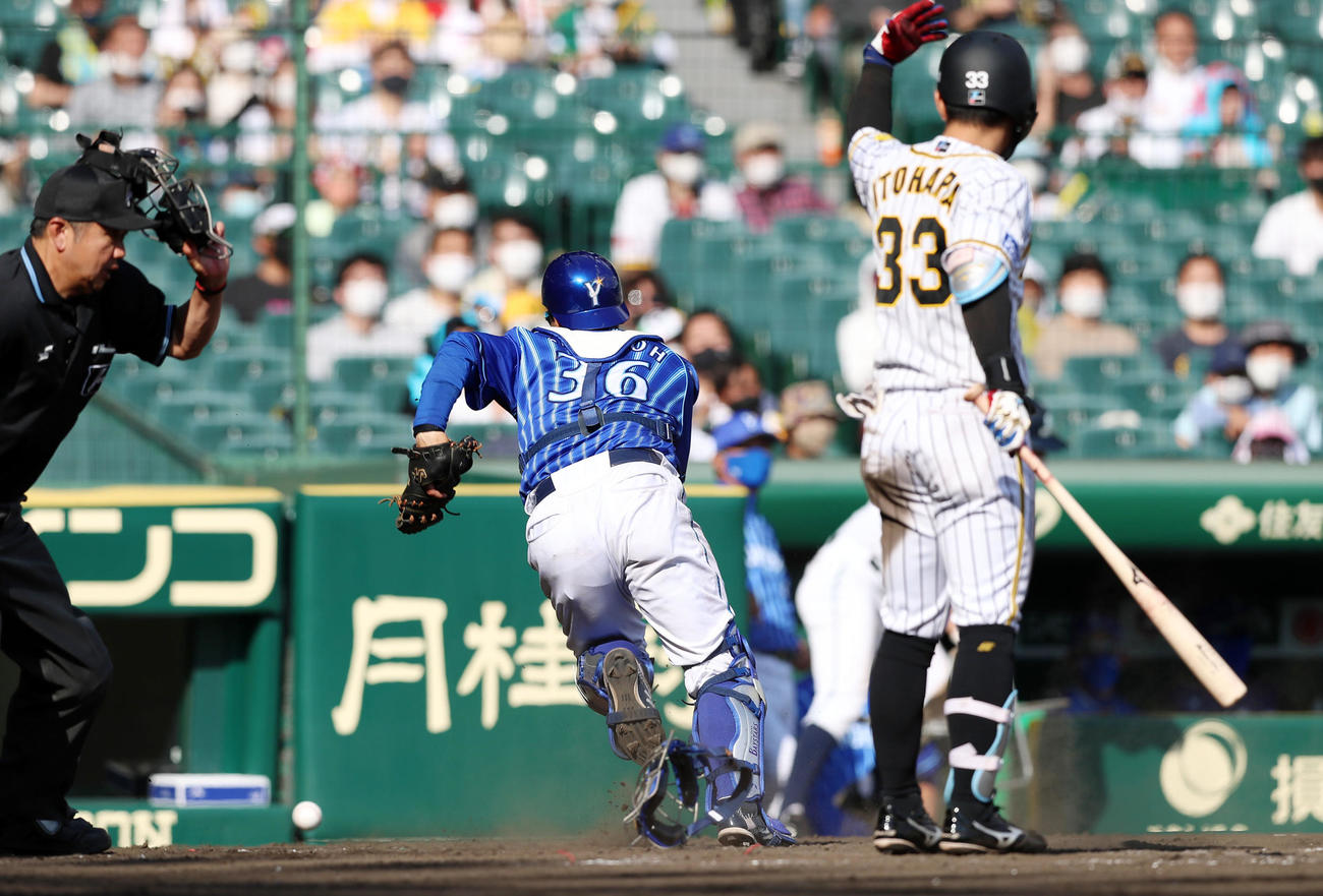 阪神対DeNA 5回裏阪神1死三塁、高城（左）は阪口の投球を後逸。打者糸原（撮影・加藤哉）