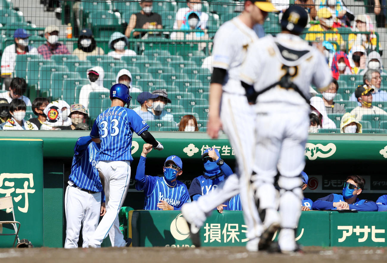阪神対DeNA 4回表DeNA無死一、二塁、二塁走者乙坂（左）はオースティンの左前適時打で生還しベンチの三浦監督がエアタッチでお出迎え（撮影・加藤哉）