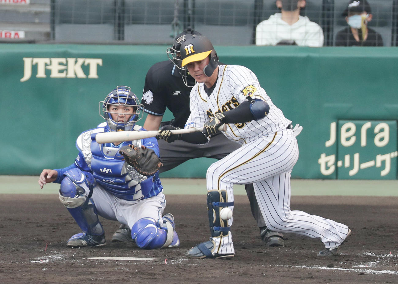 阪神対DeNA 7回裏阪神無死一、二塁、陽川は三塁前に犠打を決める（撮影・前田充）