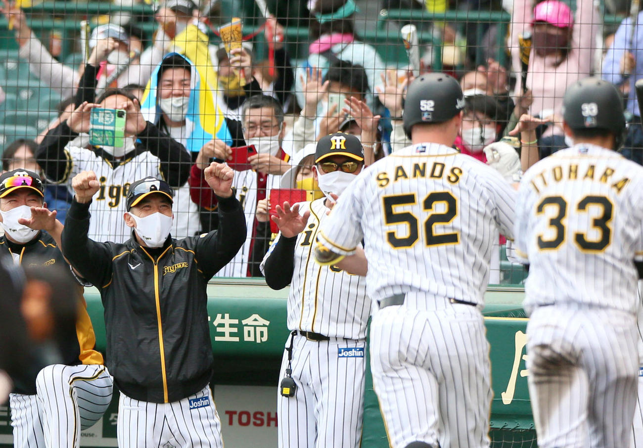 阪神対DeNA 7回裏阪神2死三塁、矢野監督（左から2人目）は中越え勝ち越し2点本塁打を放ったサンズ（左から4人目）を笑顔で出迎える（撮影・上山淳一）