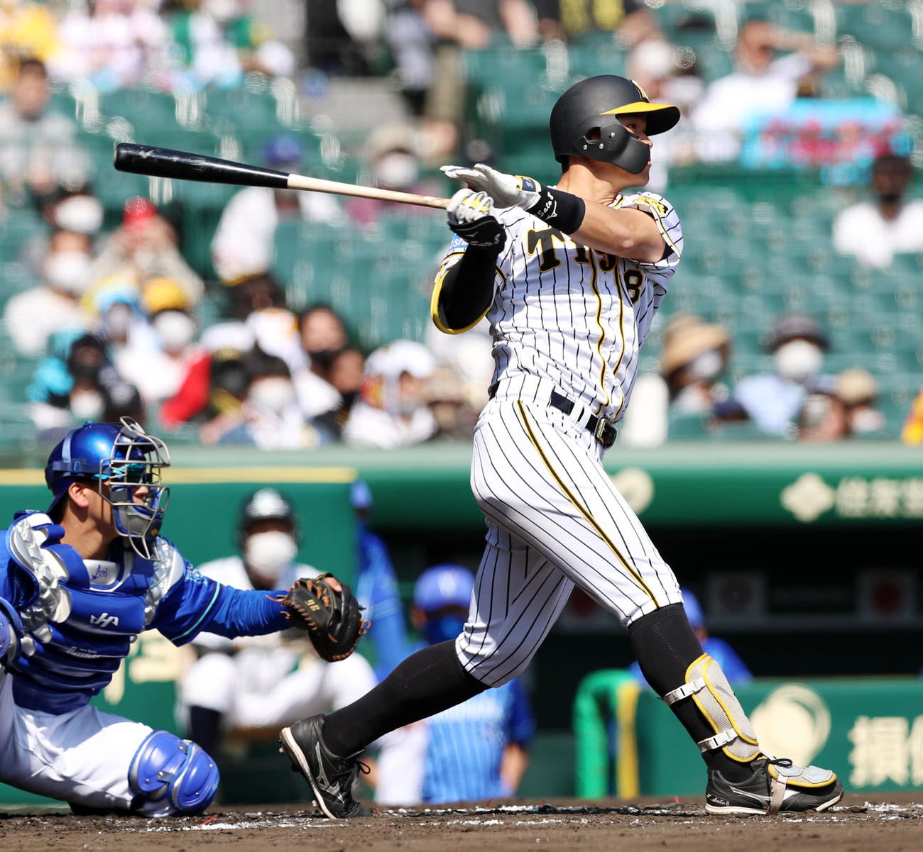 DeNA戦で阪神佐藤輝は６号２ランを放つ（撮影・加藤哉）（４月25日撮影）