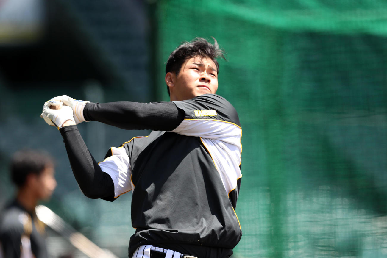 ロングティー打撃をする佐藤輝明（撮影・加藤哉）（4月25日撮影）
